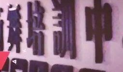 今日环球爆料视频最新版,最新视频揭秘世界热点事件内幕