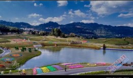 重庆綦江最新爆料,揭秘事件背后真相