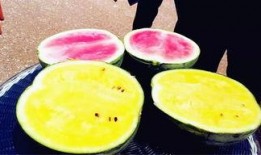 天津最新吃瓜爆料,揭秘津城热点事件幕后真相